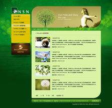 尚丞設計案例分享 美國NSN產(chǎn)品網(wǎng)站建設與互動設計